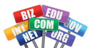 Domain Name Extension - Computer GK in Hindi